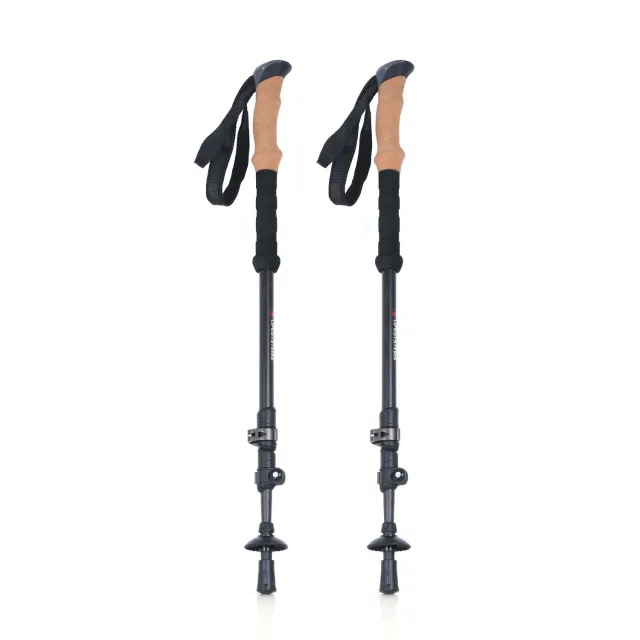 Lifeventure Trekking Poles Trekkingstöcke Carbon