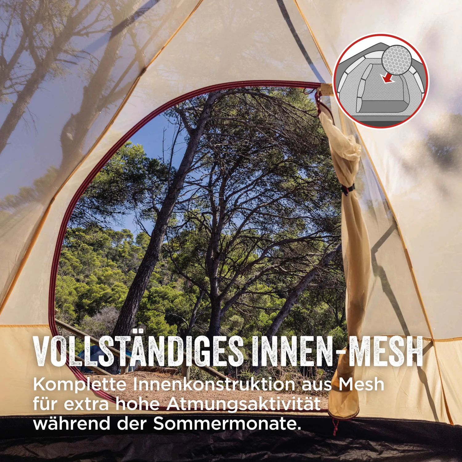 Coleman Darwin 3 Summer Kuppelzelt 3 Personen leicht