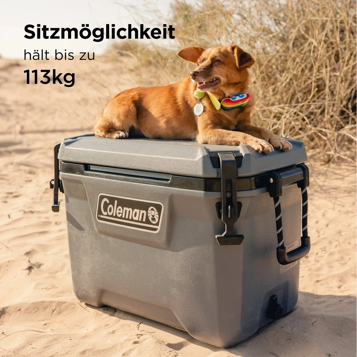 Coleman Convoy 55QT Kühlbox 53L passiv 4 Tage