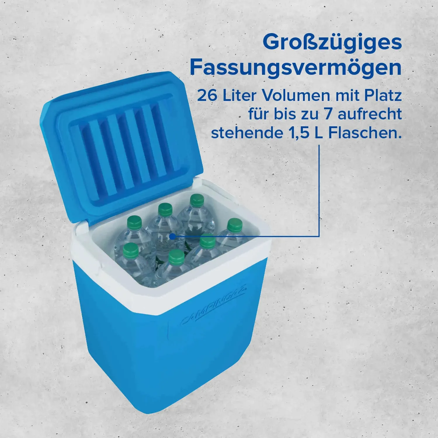 Campingaz Icetime Plus 26L Kühlbox 26 Liter passiv