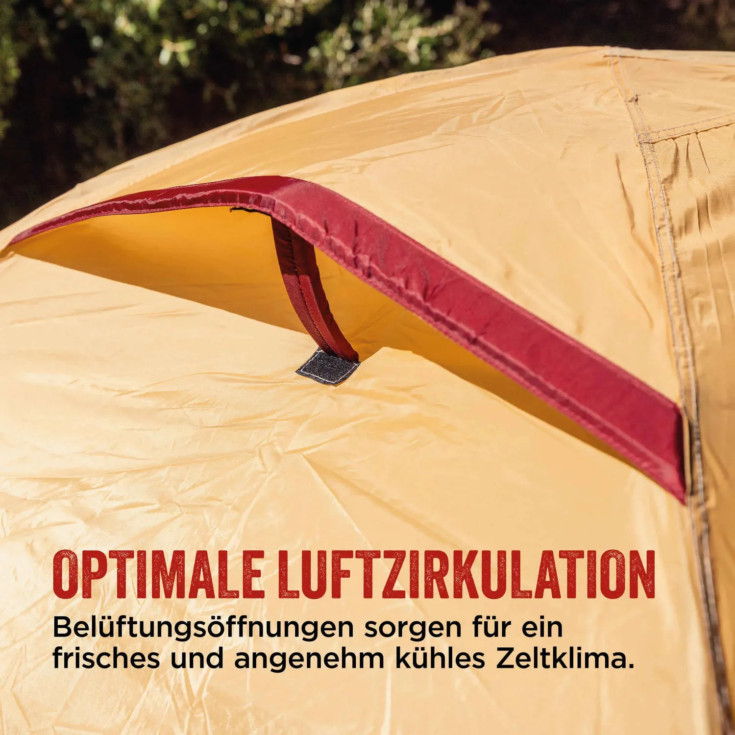 Coleman Darwin 3 Plus Summer Zelt 3 Personen Mesh
