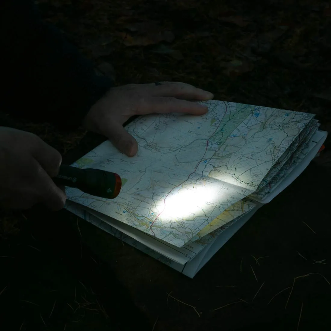 Lifeventure Intensity 545 Taschenlampe 545 Lumen
