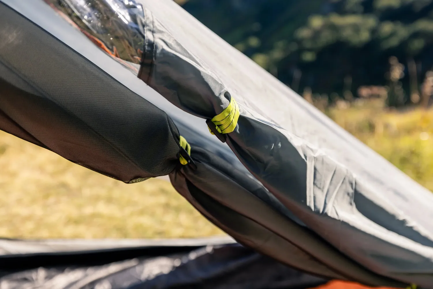 Coleman Darwin 2 Kuppelzelt 2 Personen wasserdicht