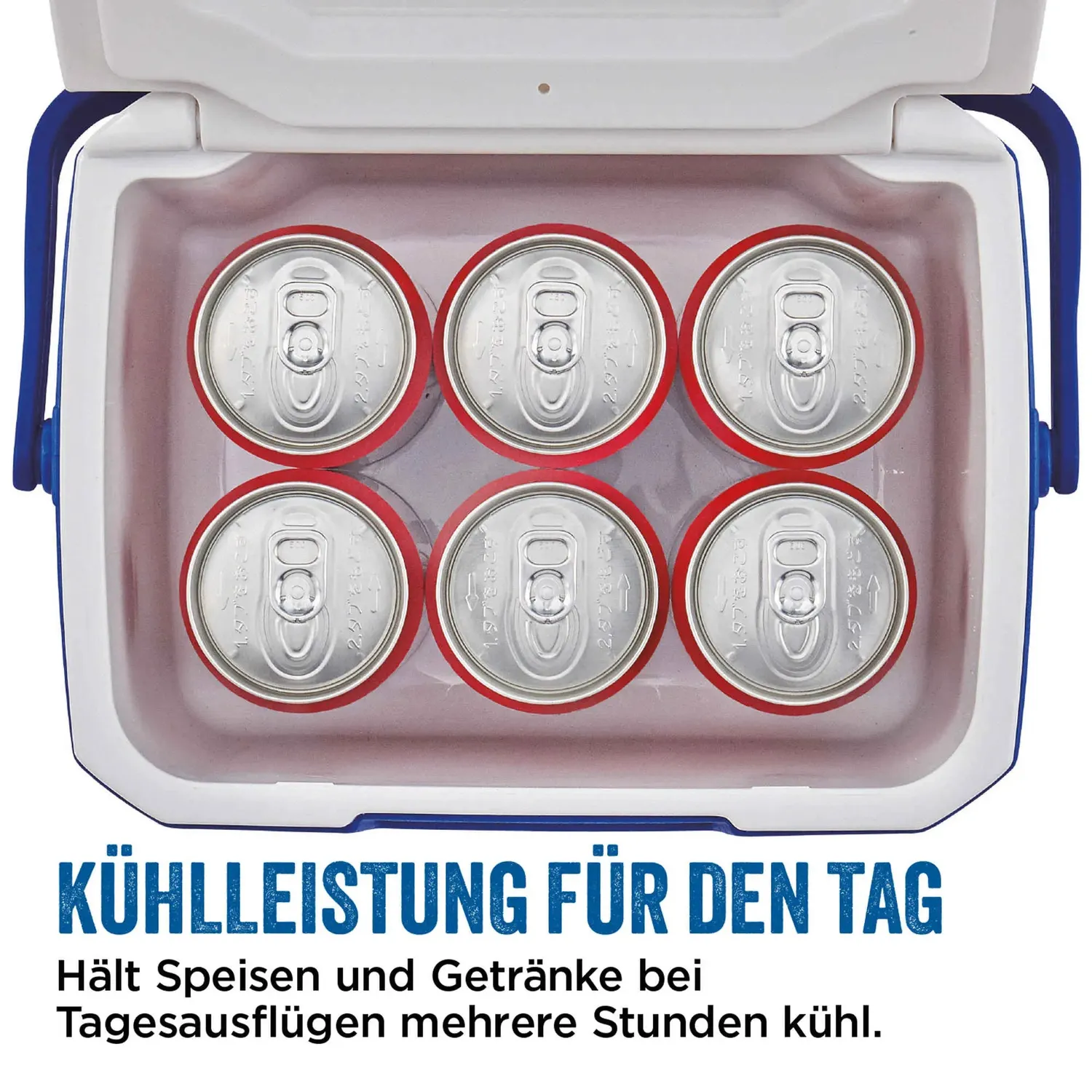 Coleman 5QT Performance Kühlbox 4,7L 9h 6 Dosen