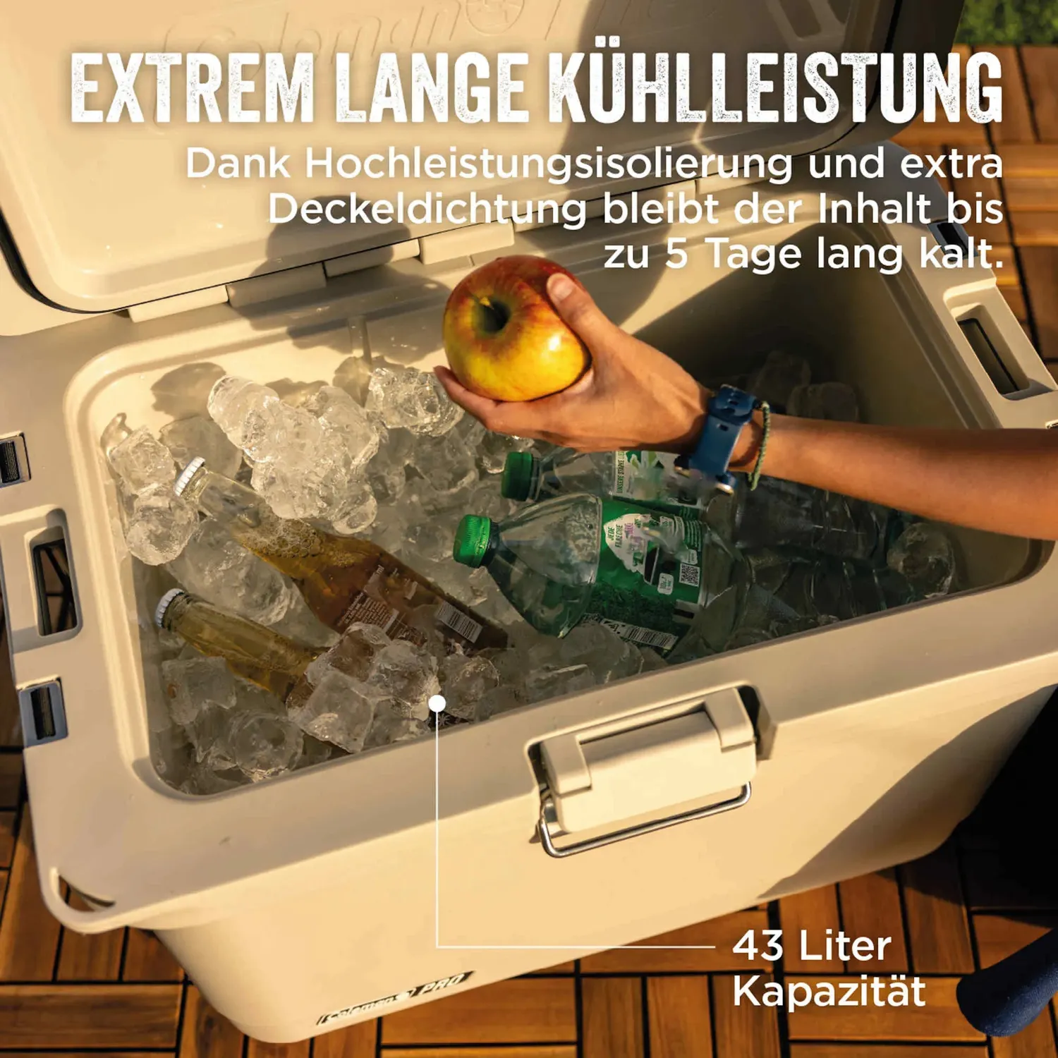 Coleman Pro 45QT Kühlbox 43L 4 Tage Kühlung