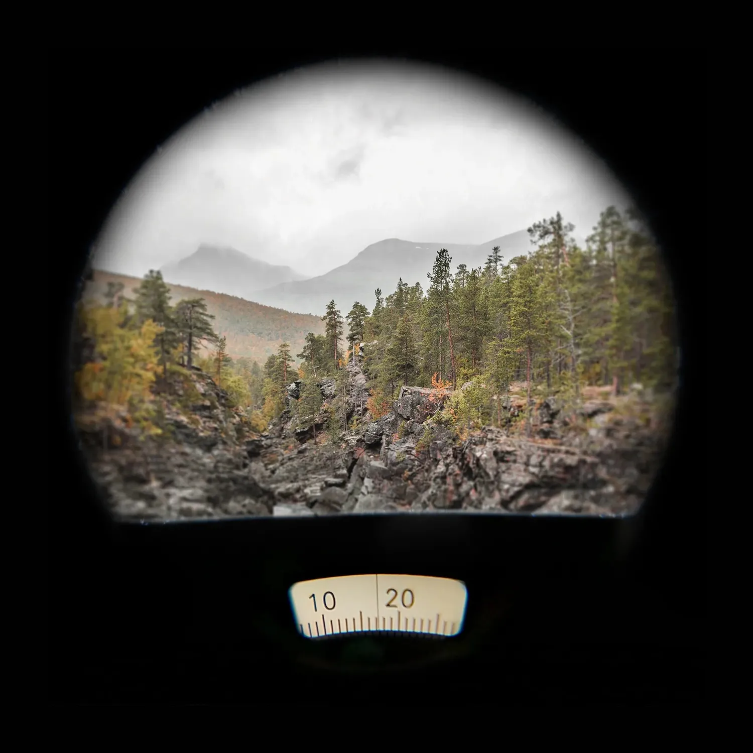Silva Eterna Navigator Fernglas mit Kompass schwimmfähig