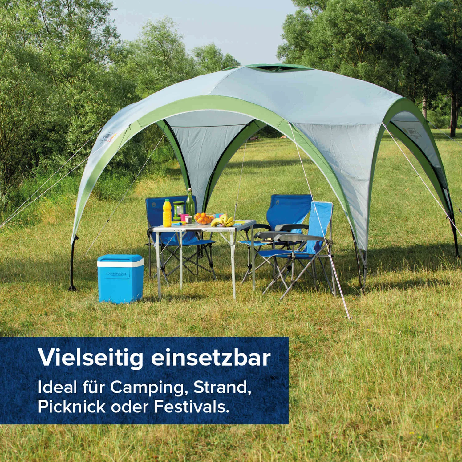 Campingaz Icetime Plus 26L Kühlbox 26 Liter passiv