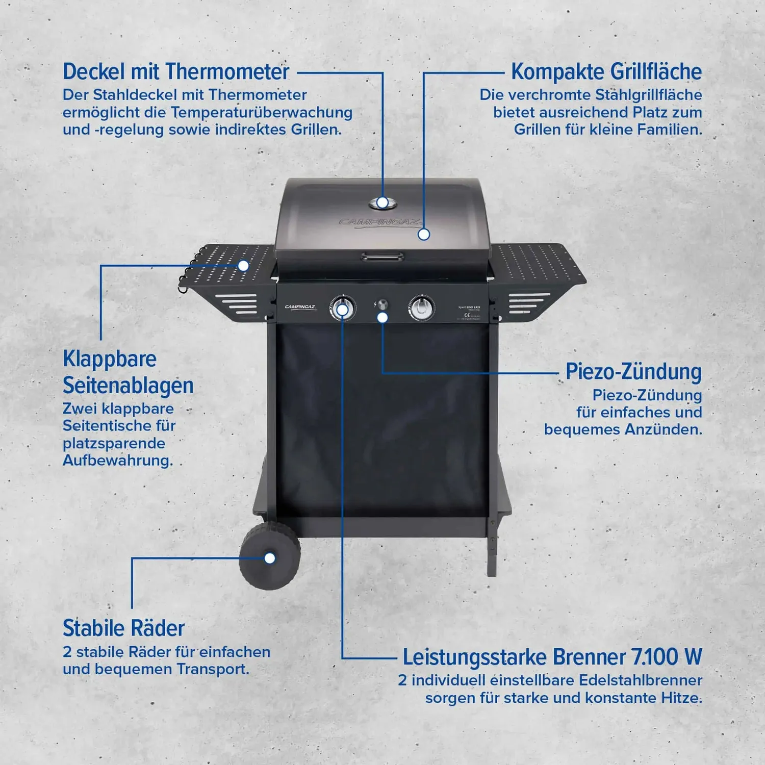 Campingaz Xpert 200 LXD Gasgrill 2-Brenner mit Gusseisenrost