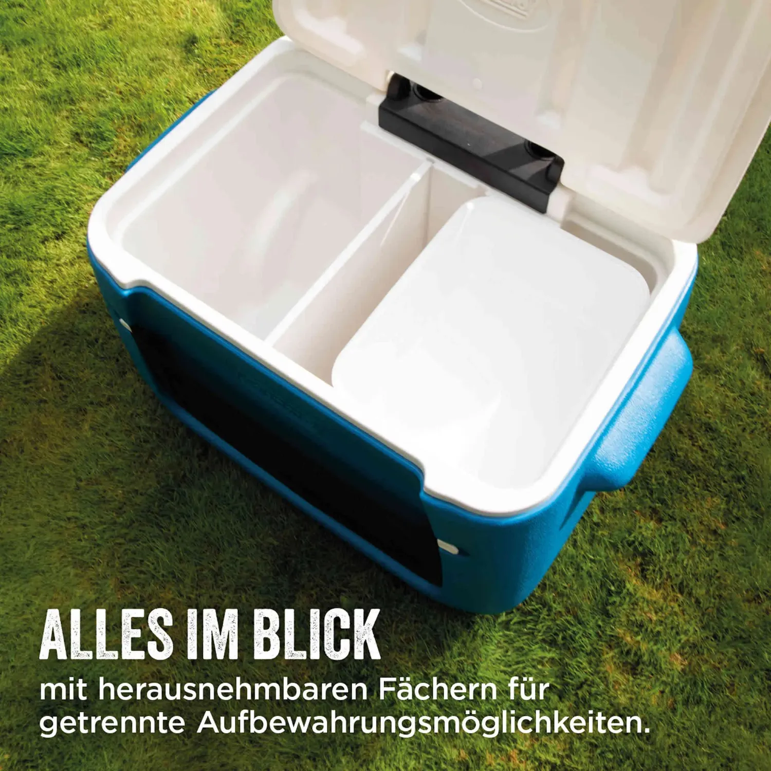 Coleman Polylite 50QT Wheeled Kühlbox 46 Liter 3-Tage