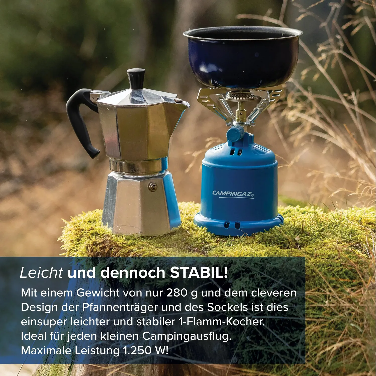 Campingaz Camping 206 S Gaskocher Stechkartusche