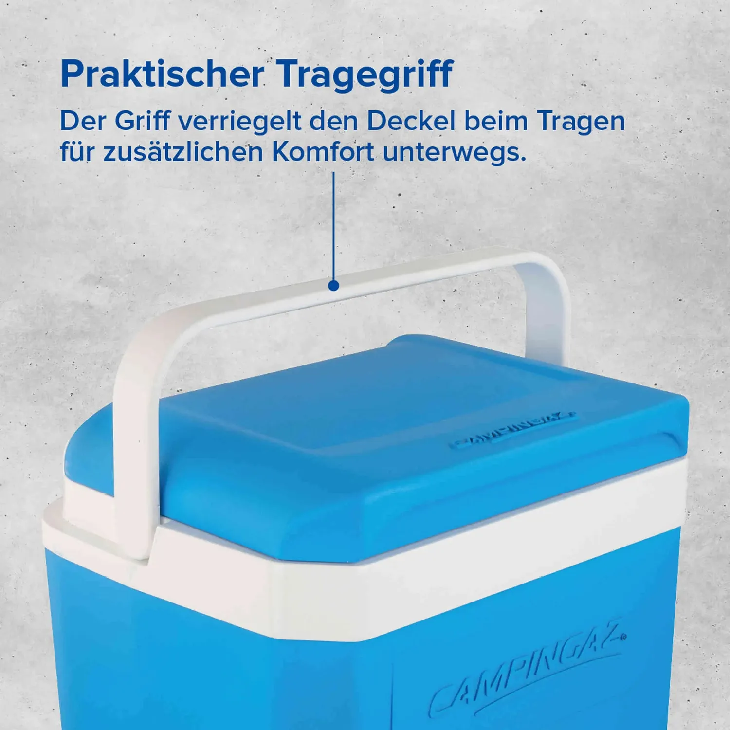 Campingaz Icetime Plus 26L Kühlbox 26 Liter passiv