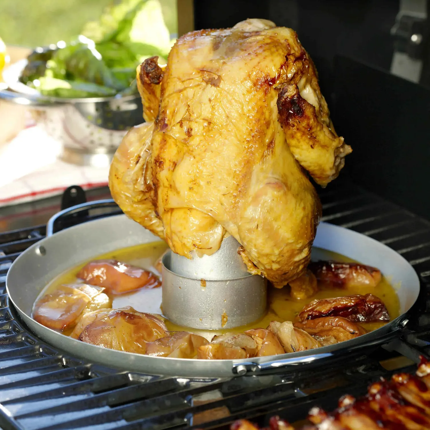 Campingaz Culinary Modular Hähnchenbräter Edelstahl